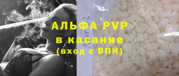 spice Аркадак