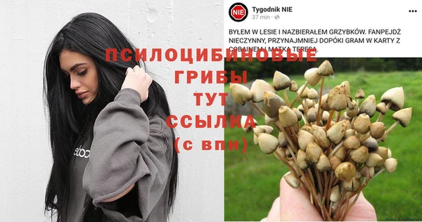 spice Аркадак