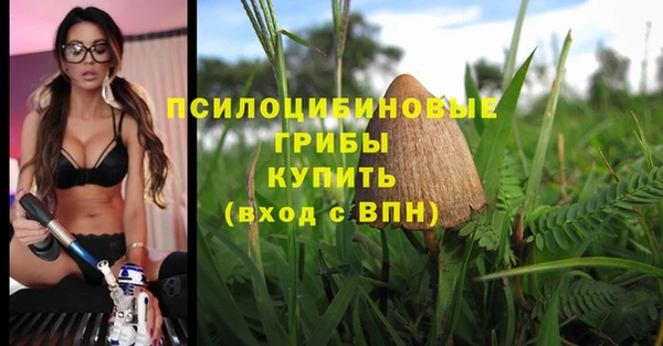 ГАЛЛЮЦИНОГЕННЫЕ ГРИБЫ Армянск