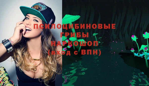 ГАЛЛЮЦИНОГЕННЫЕ ГРИБЫ Армянск