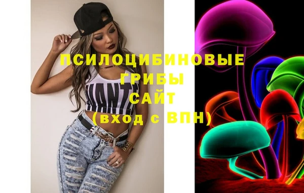 spice Аркадак